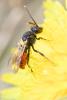 339690 – Photo : Thomas Reverchon – France (21)